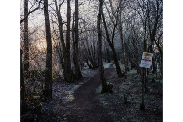 Frosty woodland path with a warning sign among bare trees