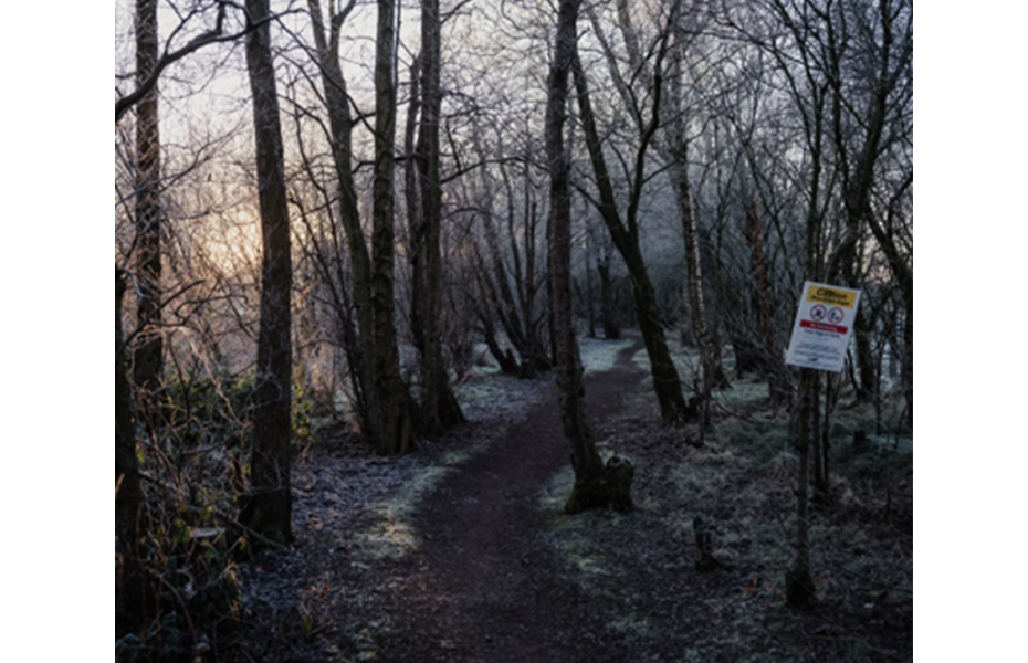 Frosty woodland path with a warning sign among bare trees